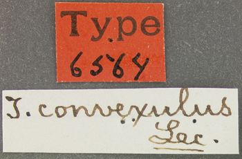Media type: image; Entomology 6564   Aspect: labels